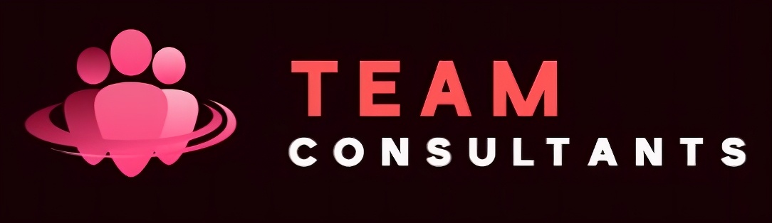 CA Professional